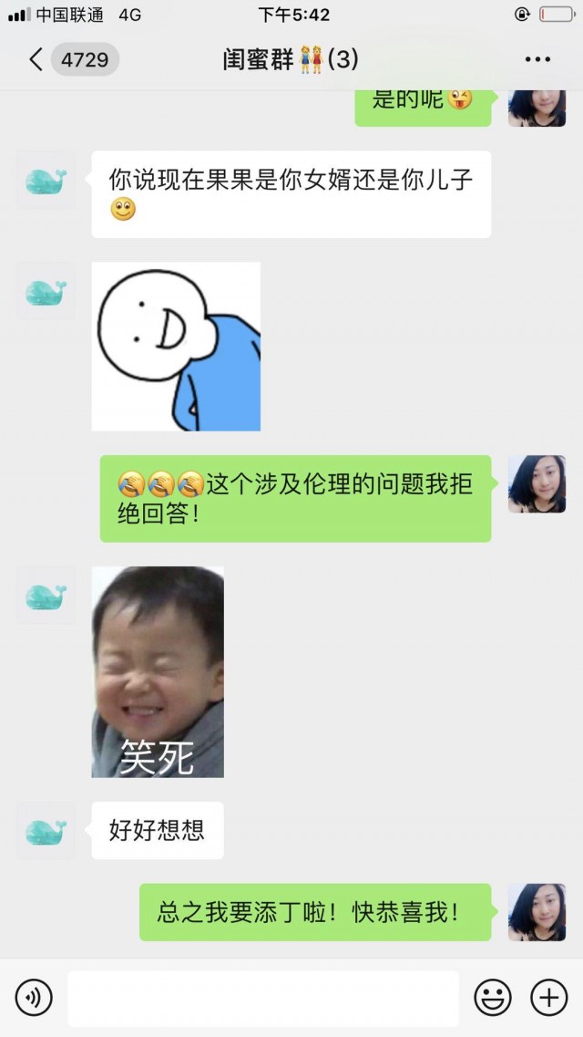 自家萨摩耶与贵宾犬结合产子儿子变女婿主人尴尬煲汤伺候