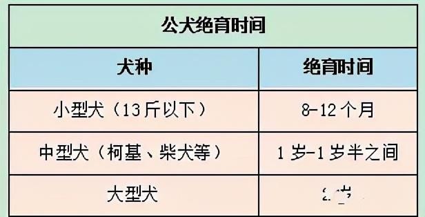 哪种犬应该绝育狗狗绝育的好处和坏处